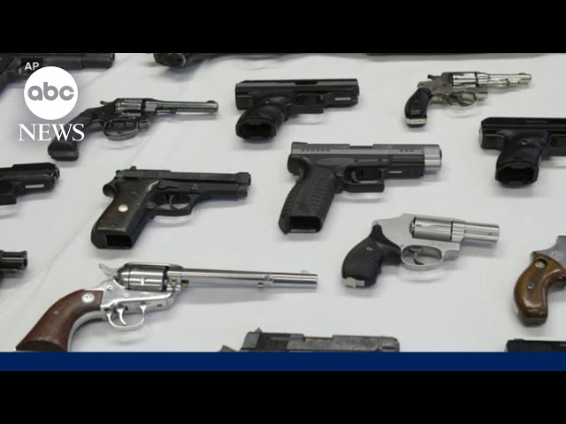 Portrayal of Alex Pretti by some Trump officials sparks 2nd Amendment backlash