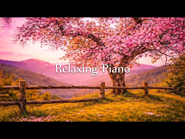 Relaxing Piano Music: Romantic Music, Beautiful Relaxing Music, Sleep Music, Stress Relief