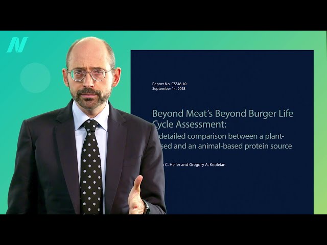 The Environmental Impacts of Plant-Based Meat Substitutes