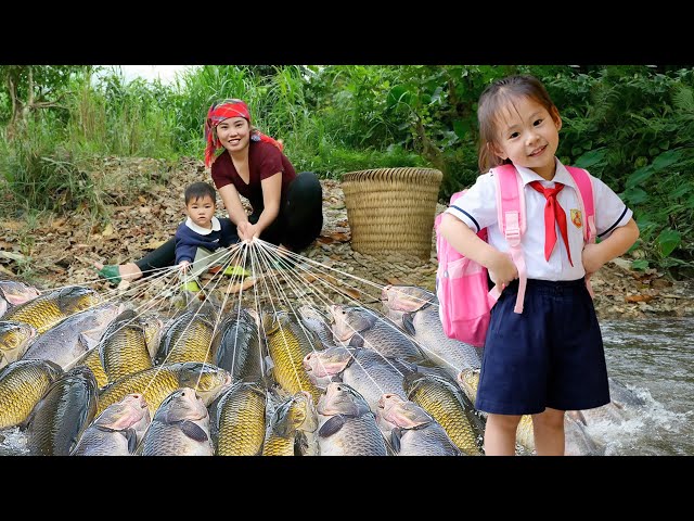 Fishing Again at the Famous Swamp Known for Giant Fish | Chuc Duong Family Fishing | Village Life
