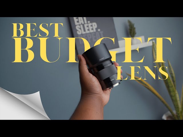 Buy this lens if you are a beginner !!!