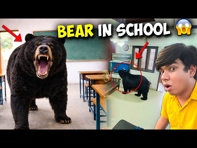 Big Bear School Me Ghus Gaya 😱 स्कूल में भालू घुस गया 🚨 Please Help 🙏