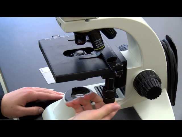 BIOLOGY 10 - Basic Microscope Setup and Use