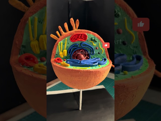 Animal cell model| 3d project #biology project #shortsfeed #nakulsahuart