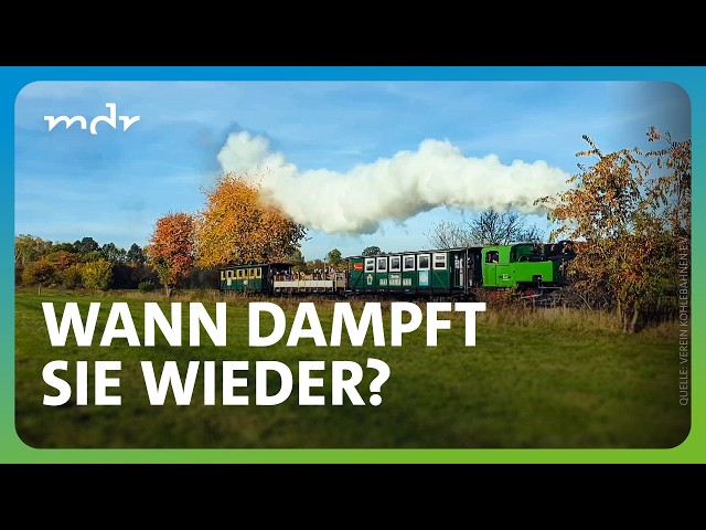 Meuselwitzer Kohlebahn: Dampflok "Wilde Hilde" soll wieder fit gemacht werden | MDR um 4 | MDR
