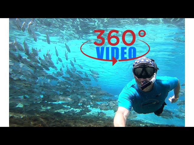 Silver Glen Springs 360 degree 🐟 Fishnado 🐟