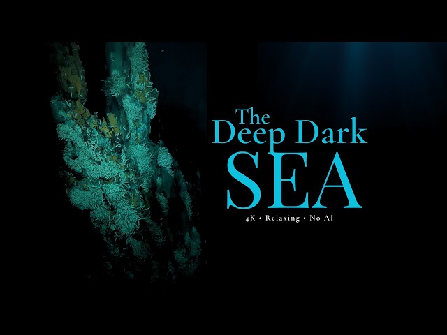 The Abyss | Deep Sea Documentary for Sleep (4K)
