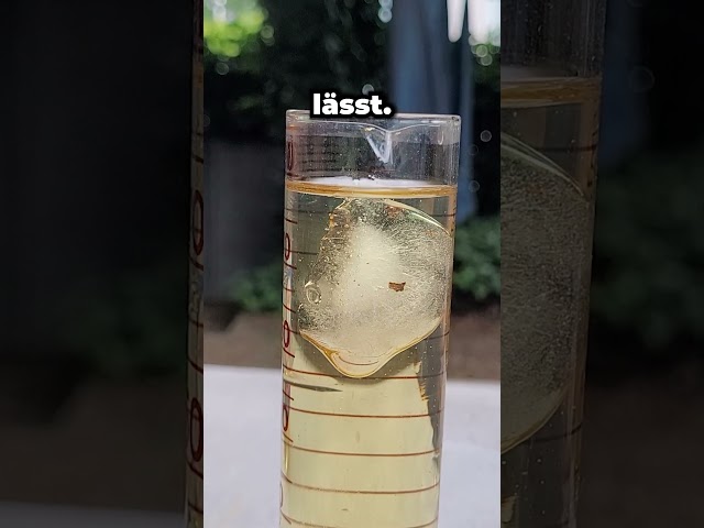 Physics experiment with ice and sunflower oil #experiment #school #science #science #physics