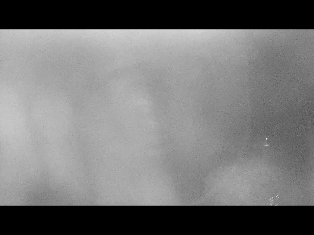 Kohanaiki Web Camera