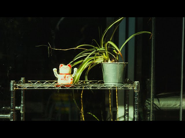 POV Chinatown Street Photography | Sony A7IV