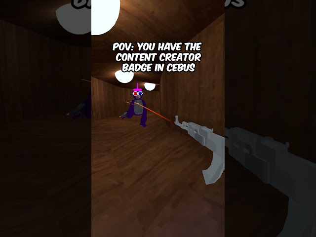 POV: You Are A CONTENT CREATOR In Cebus...