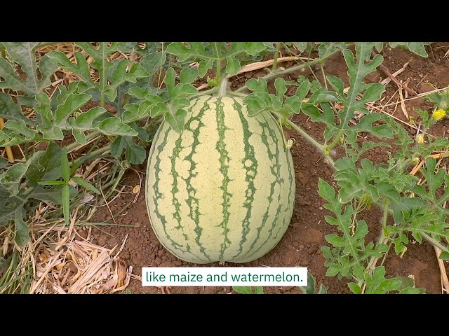 Concern's Youth Climate Ambassador visits Kenya!