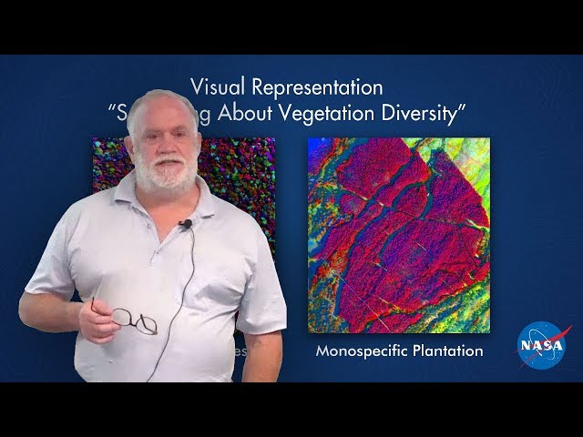 Big Data, Open Data and Biodiversity: A Presentation