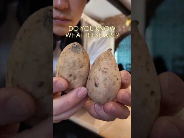 Do you know what this is? Okinawan sweet potatoes.