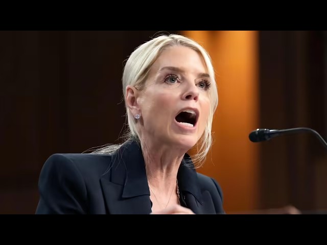Pam Bondi encounters new Epstein NIGHTMARE | Another Day