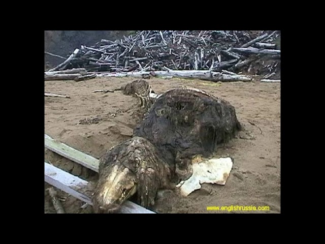 Scp 682 roar sound effect