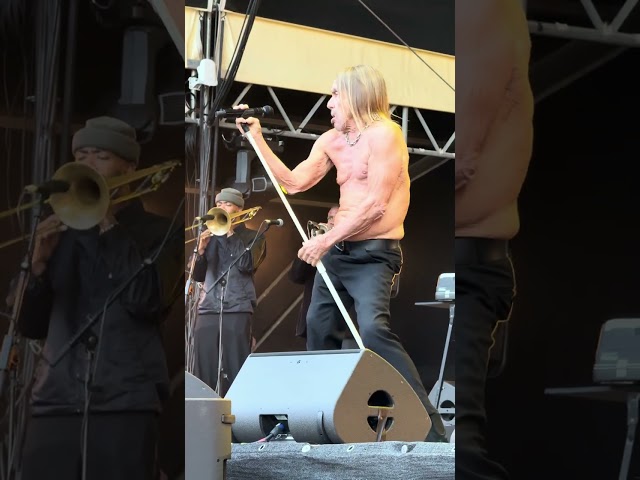 🔥👕 Red Hot Chili Peppers ft. Iggy Pop – this is what volcanic stage presence looks like