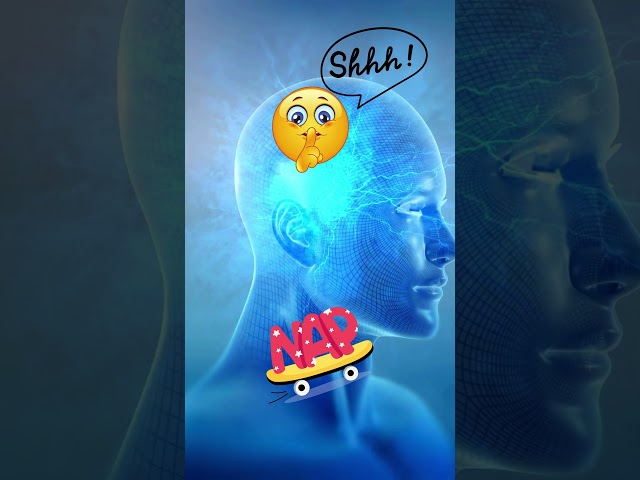 How Does Anesthesia Work? The Science Behind Going Under!