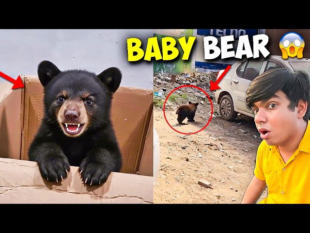 I Found a Baby Bear 😱 भालू का बच्चा घर ले आया 🐻 | Keemat 15 Lakh? | My New Pet Bear