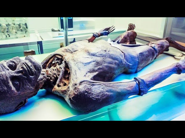 Scientists Just Sequenced The DNA Of Ötzi The Iceman And They Were Shocked