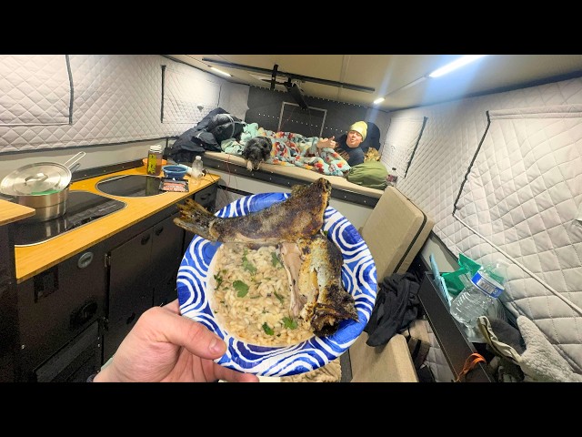 Overnight Truck camping W/ my Friend and His Dog - Rainbow Trout Risotto