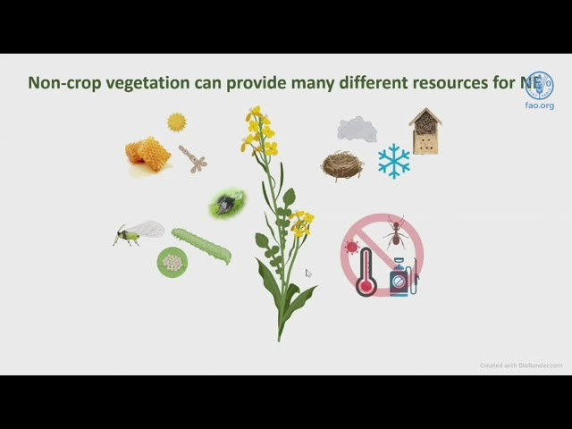Conservation biological control: scope and challenges for further uptake