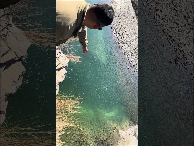 Look at the Catfish!