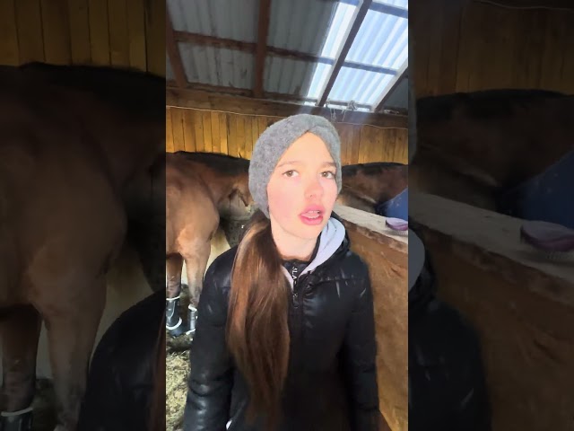 It was worth a try! 🤣 Use code EMI10 to get 10% off at @alpurial #horses (advertisement)