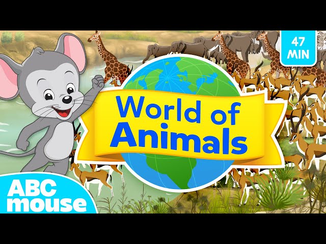 🐾 Explore the World of Animals 🌍 | 47 Minute Full Episode | Compilation for TV | ABCmouse for Kids