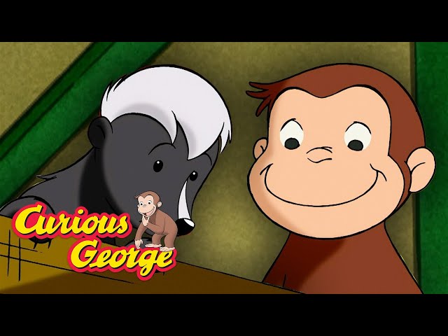 Catch that Skunk! 🐵 Curious George 🐵 Kids Cartoon 🐵 Kids Movies