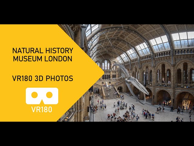 Natural History Museum in London 3D photographs VR180 Canon RF 5.2mm F2.8L Dual Fisheye lens