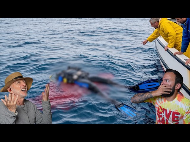 Divers React to Diver Decapitated by Great White Shark