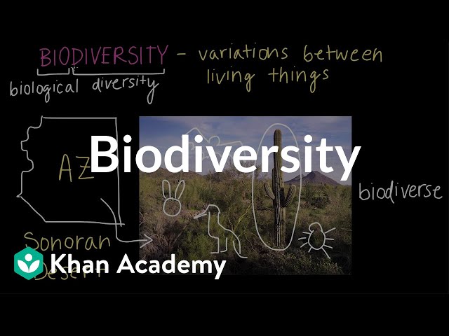 Biodiversity | Biodiversity and human impacts | High school biology | Khan Academy