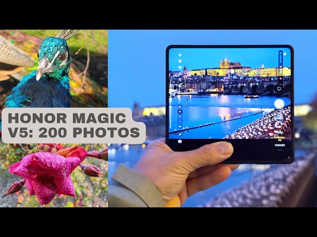 Honor Magic V5 camera test: review + 200 sample photos | 4K HDR video
