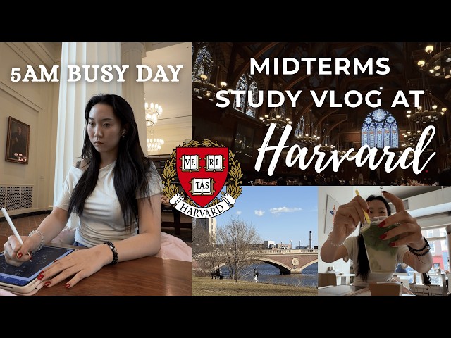 5AM HARVARD MIDTERMS STUDY VLOG 🍵 study motivation & tips, productive morning, college grocery run