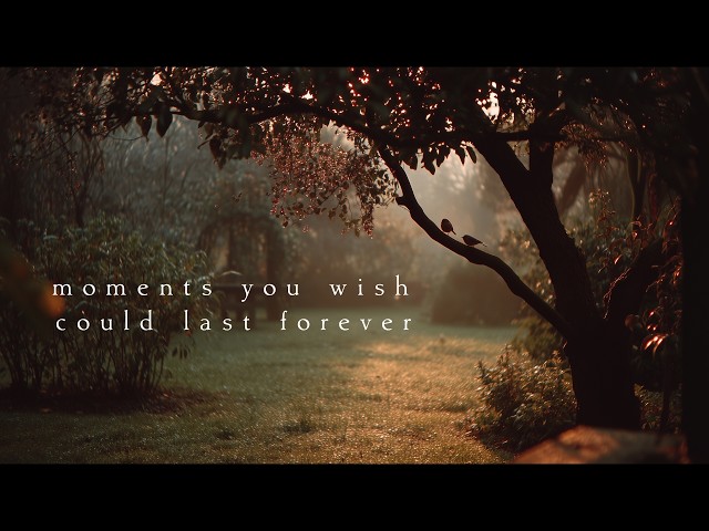 Moments you wish could last forever | Piano Playlist