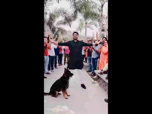 Live streaming of freedom houz