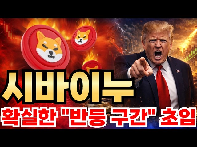 [시바이누코인] 확실한 "반등 구간" 초입! 대응 브리핑 도와드립니다. (시바이누전망*분석)