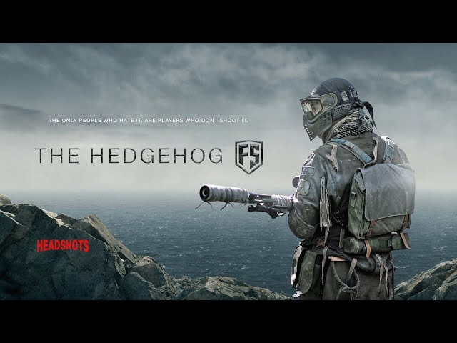 Toss a First Strike - Hidden Hedgehog Cover  (Toss a coin to your Witcher)