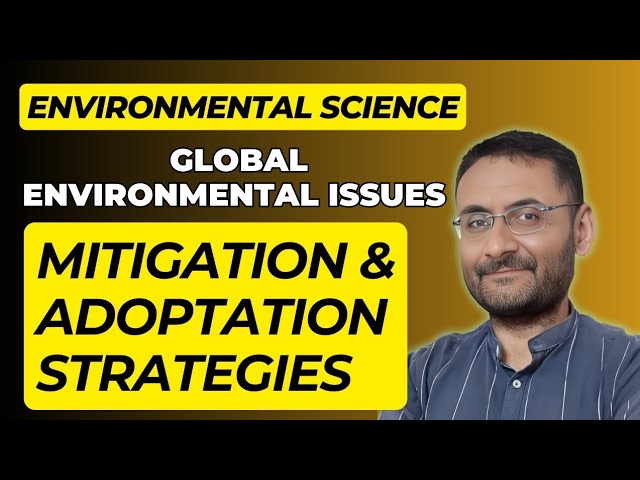 Mitigation Strategy | Adaptation Strategy | Global Environmental Issue | Ecology | Environment