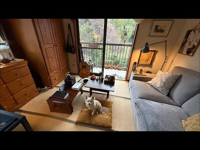 🔴 04.09.26 — A Quiet Corner of Rural Japan—Watching the Valley of Tea | Cool Spring Day