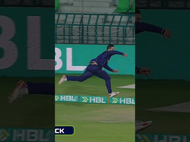 RILEE ROSSOUW TAKES STUNNING CATCH 😱 | CRAZY FIELDING MOMENT #QGvMS  | #HBLPSL11 | #newera | MZB1U