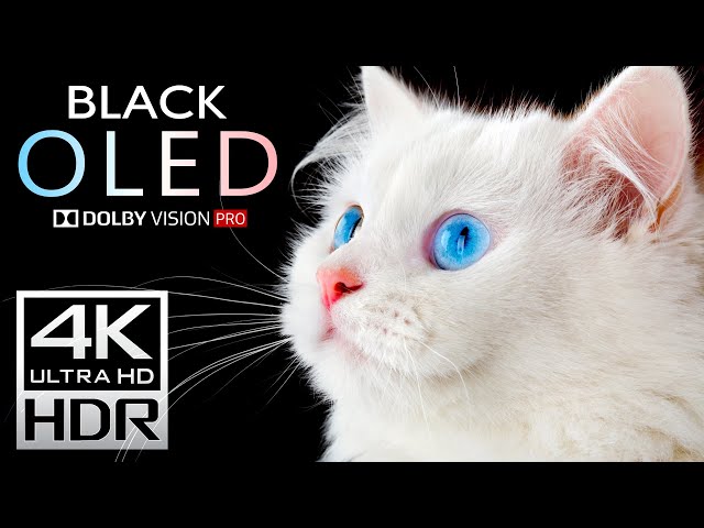 OLED Deep Black 4K HDR Dolby Vision 120fps
