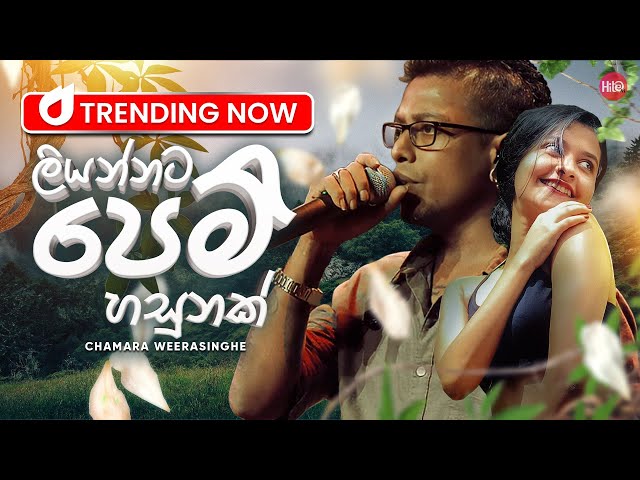 Liyannata Pem Hasunak(ලියන්නට පෙම් හසුනක්) | Chamara Weerasinghe | Hitma Music Official Lyrics Video