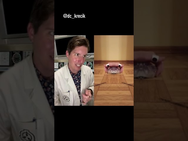 Petting zoo of anomalies! #drsherman #site42 #scp