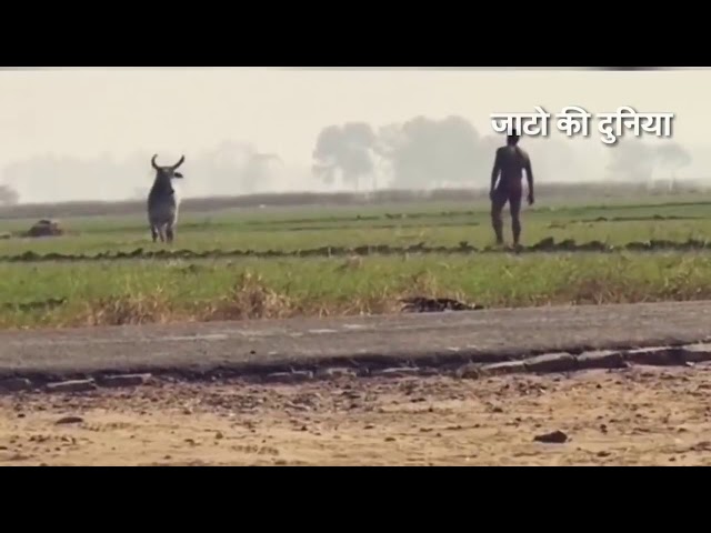 धारा 144/ jaat new song /जाटो का अड्डा#