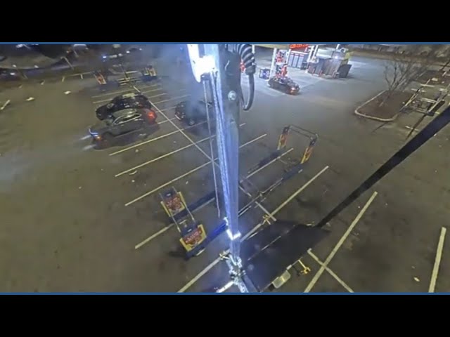 New video shows stolen Maltipoo escaped during Lithonia car break-in at Kroger in Lithonia.