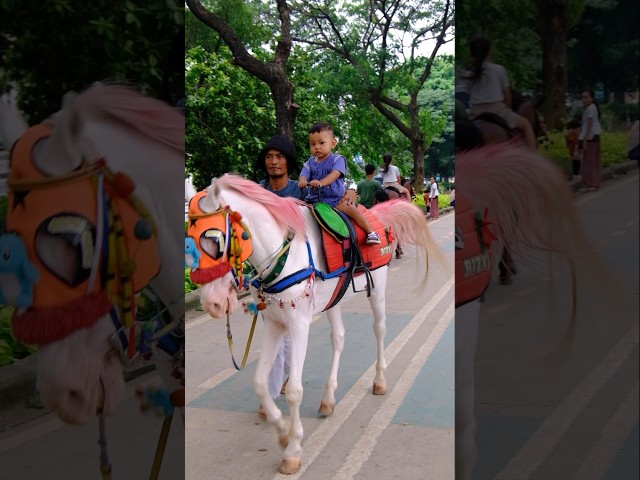 Kuda BKT 🌈 Naik Kuda BKT Cipinang | Lagu Naik Delman Istimewa Populer Indonesia #shorts