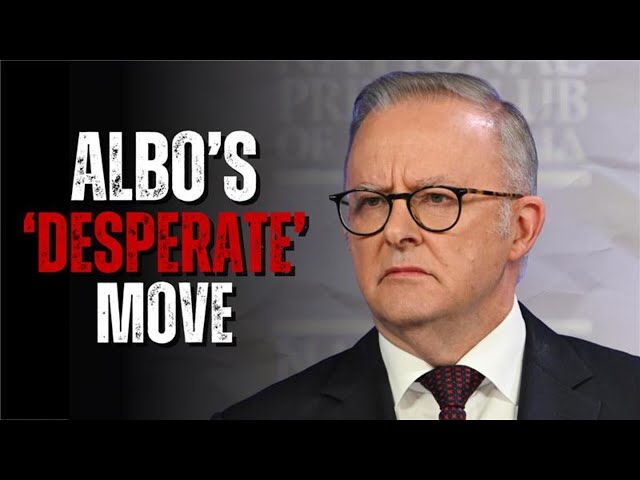 Albanese hijacks TV stations in ‘desperate’ move as Labor’s poll numbers sink