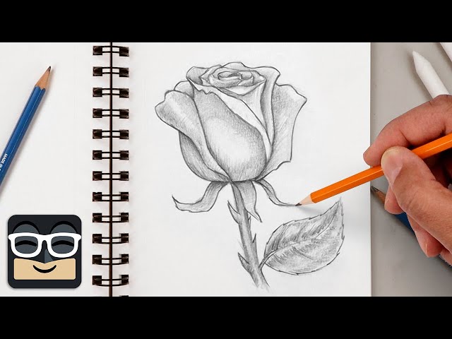 How to Draw a Realistic Rose | Step by Step Sketch Tutorial